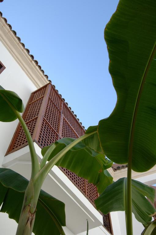 Riad Up Марракеш Экстерьер фото